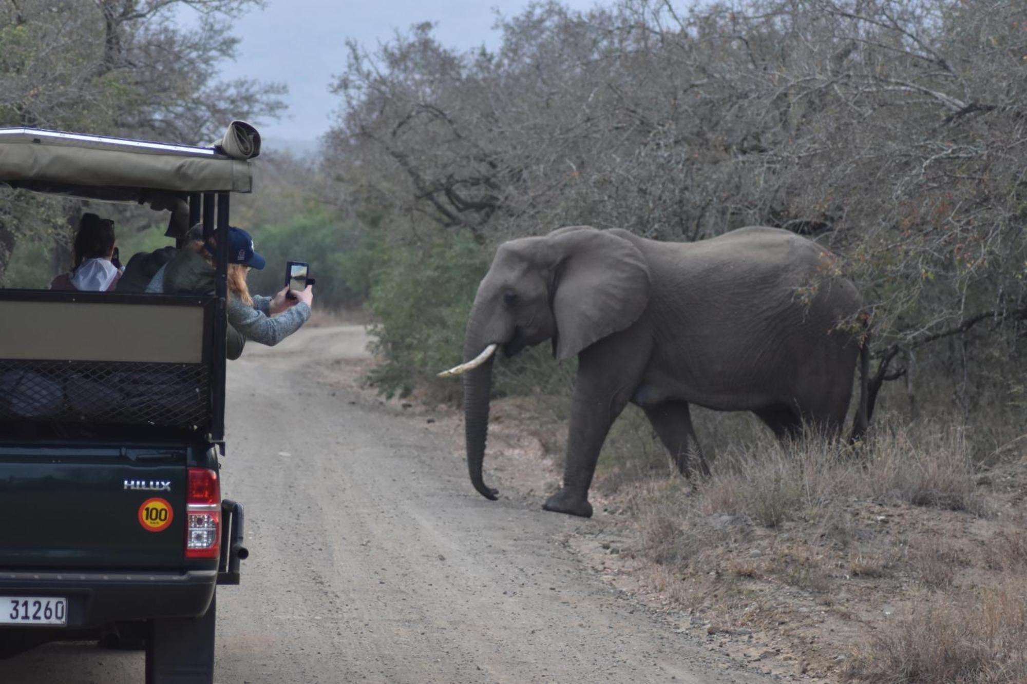 The Baobab Bush Lodge And Villa Hoedspruit Luaran gambar