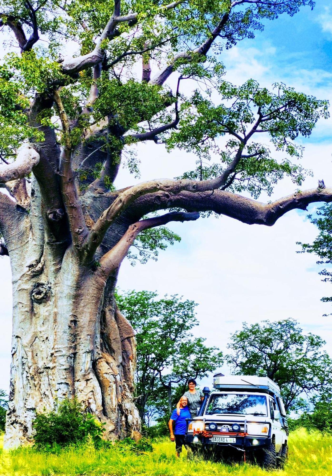 The Baobab Bush Lodge And Villa Hoedspruit Luaran gambar