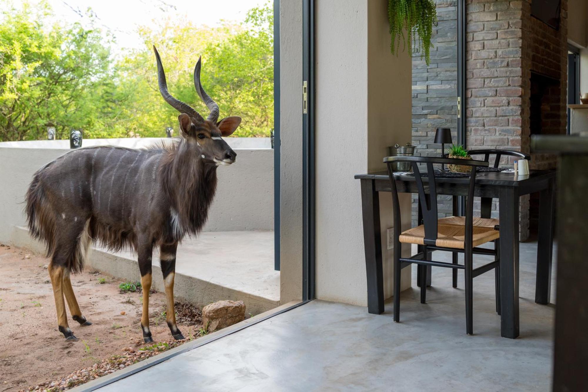 The Baobab Bush Lodge And Villa Hoedspruit Luaran gambar