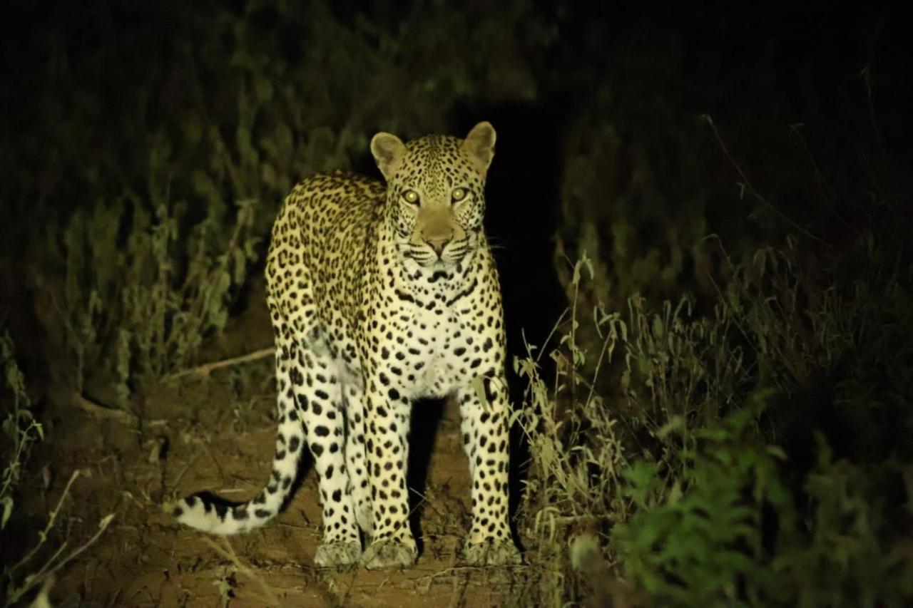 The Baobab Bush Lodge And Villa Hoedspruit Luaran gambar